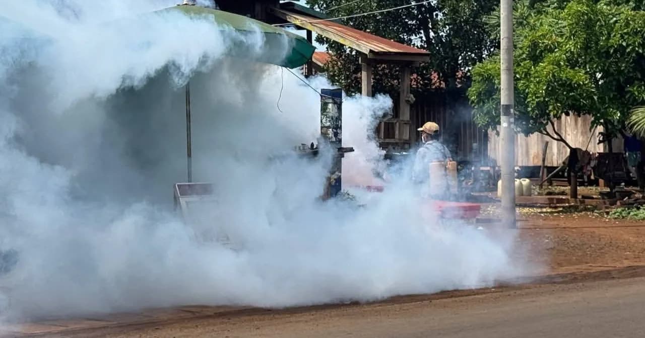 ករណីគ្រុនឈាមនៅមណ្ឌលគិរី ហក់ឡើងដល់ ២៦៩ករណី ភាគច្រើនលើកុមារនិងយុវវ័យ