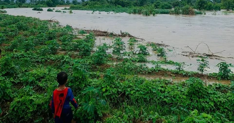 ជំនន់ទឹកភ្លៀងបានប៉ះពាល់ផលដំណាំប្រជាពលរដ្ឋនៅស្រុកសំឡូតជាង ១០០ គ្រួសារ និងហេដ្ឋារចនាសម្ព័ន្ធជាច្រើនទៀត